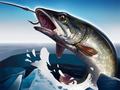 Spel Ice Fishing 3D