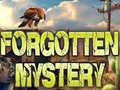 Spel Forgotten Mystery
