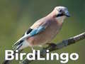 Spel BirdLingo