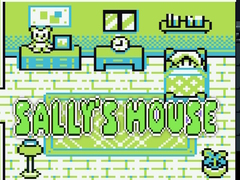 Spel Sally's House