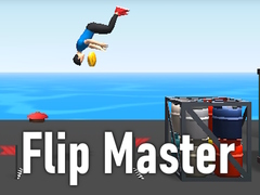 Spel Flip Master