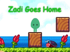 Spel Zadi Goes Home