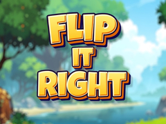 Spel Flip It Right
