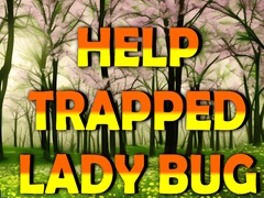 Spel Help Trapped Lady Bug