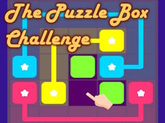 Spel The Puzzle Box Challenge