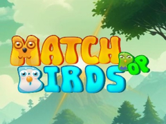 Spel Match Pop Birds