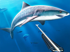 Spel Hunting Underwater Spearfishing