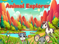 Spel Animal Explorer 