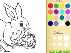 Spel Bunny Coloring Book For Kids