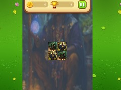 Spel Magic Druid Memory Match