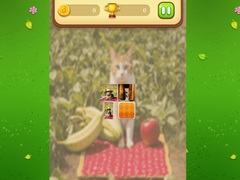 Spel Farm Cat Memory Match
