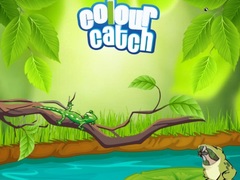 Spel Colour Catch