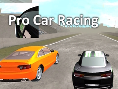 Spel Pro Car Racing