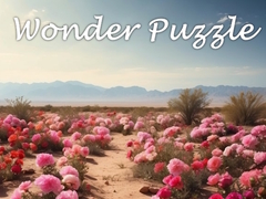 Spel Wonder Puzzle