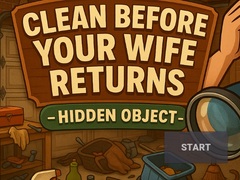 Spel Clean Before Your Wife Returns Hidden Object