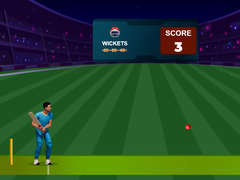 Spel Cricket Night 2