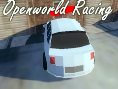 Spel Openworld Racing