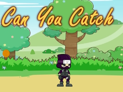 Spel Can You Catch