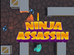 Spel Ninja Assassin