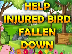 Spel Help Injured Bird Fallen Down