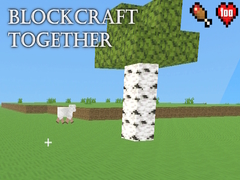 Spel BlockCraft Together