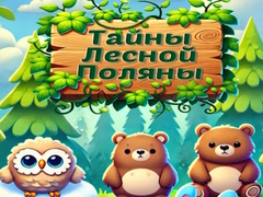 Spel Forest Glade Mysteries