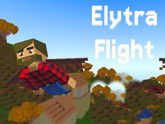 Spel Elytra Flight