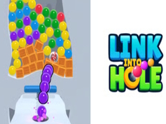 Spel Link Into Hole