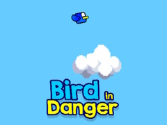 Spel Bird in Danger