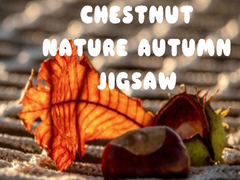 Spel Chestnut Nature Autumn Jigsaw