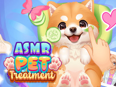 Spel ASMR Pet Treatment