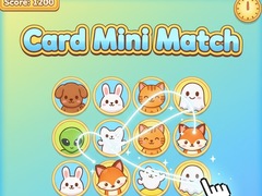 Spel Card Mini Match