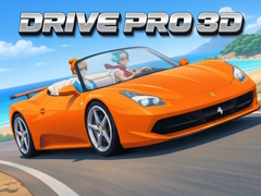 Spel Drive Pro 3D