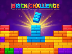 Spel Brick Challenge