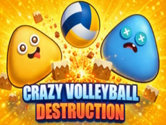 Spel Crazy Volleyball Destruction