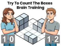 Spel Try To Count The Boxes Brain Training