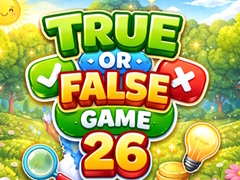 Spel True or False Game 26