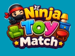 Spel Ninja Toy Match
