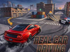 Spel Real Car Driving