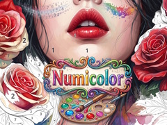 Spel Numicolor