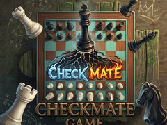 Spel Checkmate Game