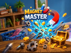 Spel Magnet Master