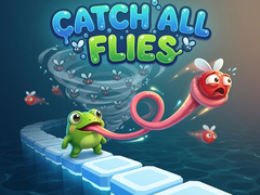 Spel Catch All Flies