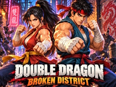 Spel Double Dragon Broken District