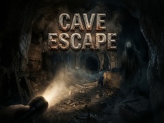 Spel Cave Run