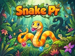 Spel Snake Pr