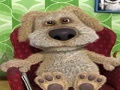 Spel Talking Ben the Dog