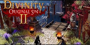 Divinity: Original Sin 2 