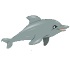 Dolphin show spel 